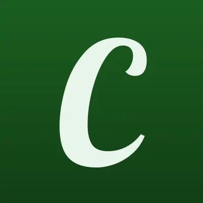 Челны-Бройлер, торговая сеть, лого-визитка